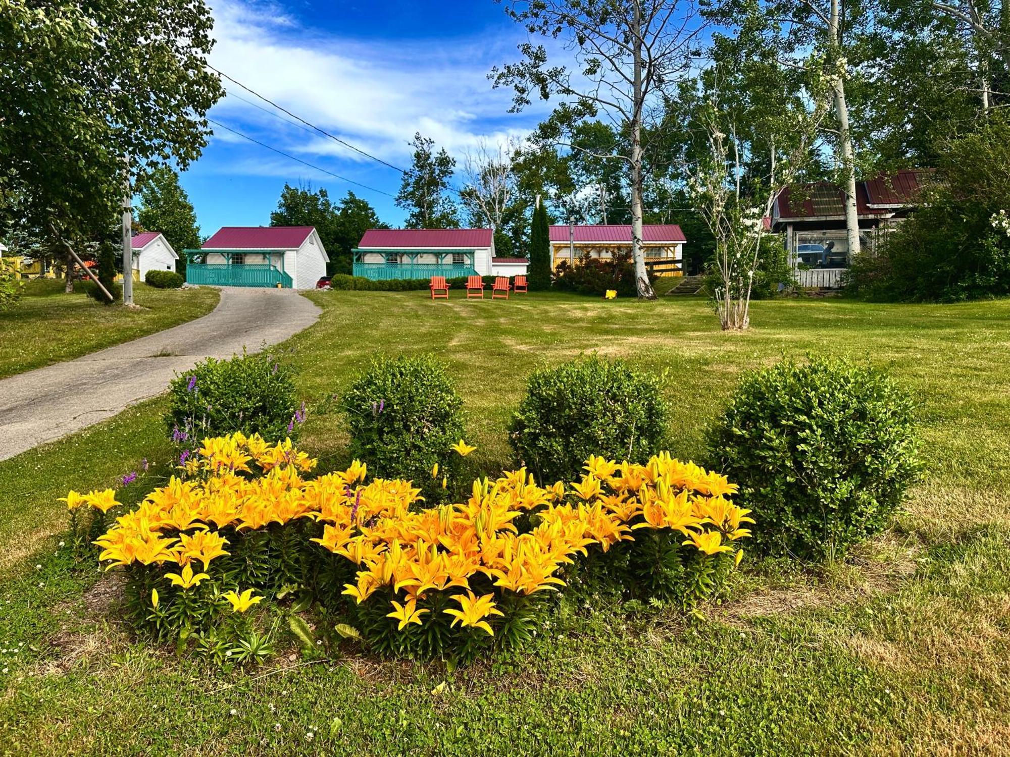 Skyline Cabins Ingonish Bagian luar foto