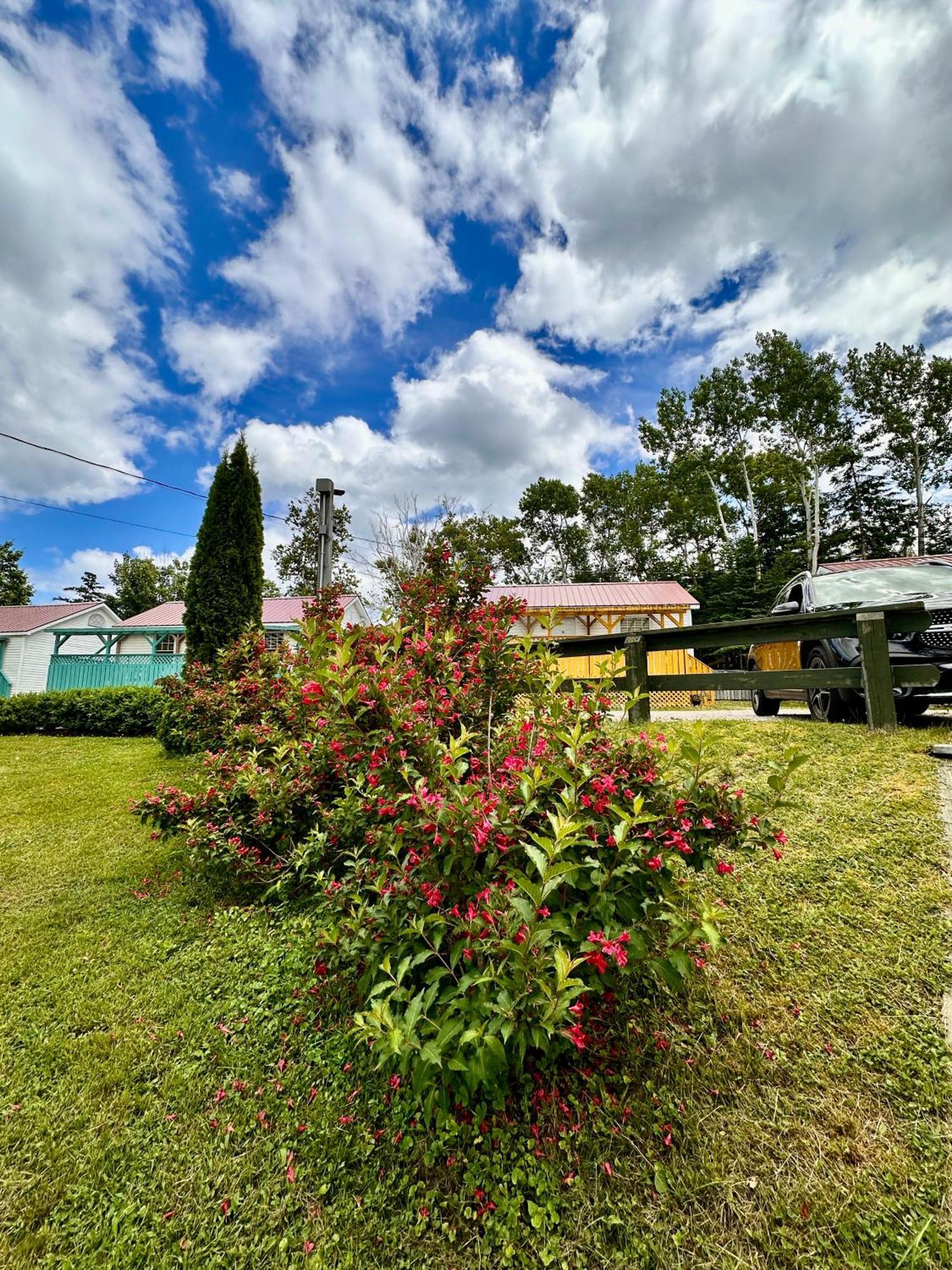 Skyline Cabins Ingonish Bagian luar foto