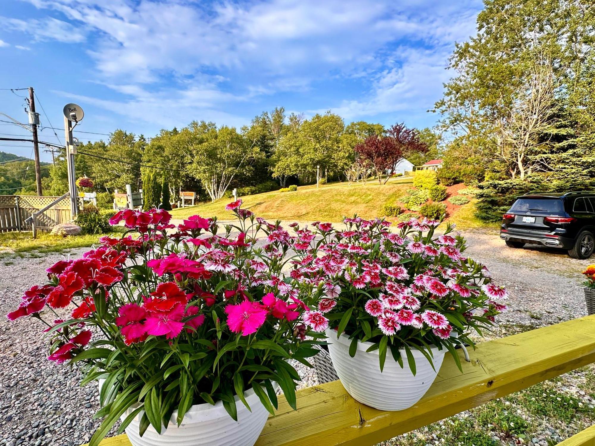 Skyline Cabins Ingonish Bagian luar foto